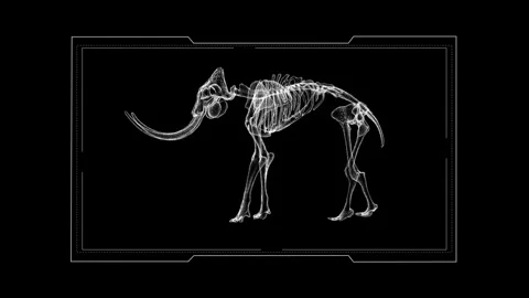 Digital Rendering of Prehistoric Mammoth Skulls and Skeletons on Black Back.. 库存影片 342315716