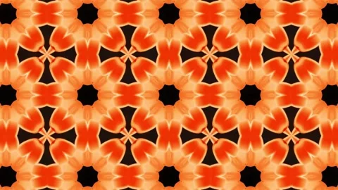 Digital Rendering Red Kaleidoscope Creative Pattern Stock Footage 147215383