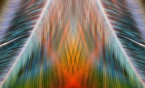 Digital Rendering Soft Feather Symmetric Background Illustration