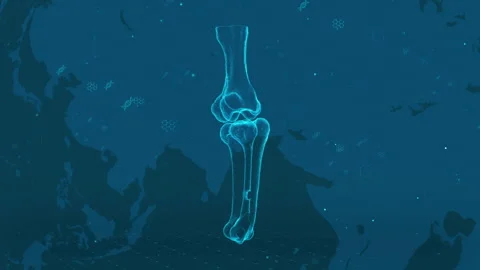 Digital Representation of Anatomical Bone Structure on Tech-Themed Background Stock Footage 339123474