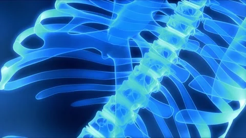 A digital representation of the human bones Stock Footage 138563198