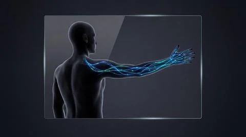 Digital representation of human nervous system radiating through the arm. Illustrazione stock