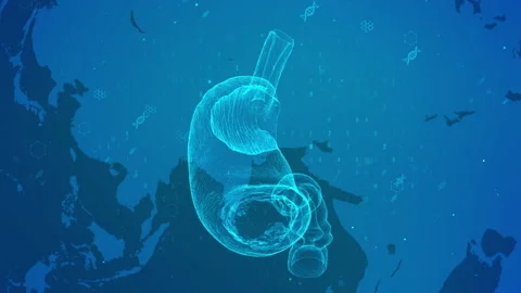Digital Representation of Human Stomach Anatomy on Blue Background Stock Footage 339126213