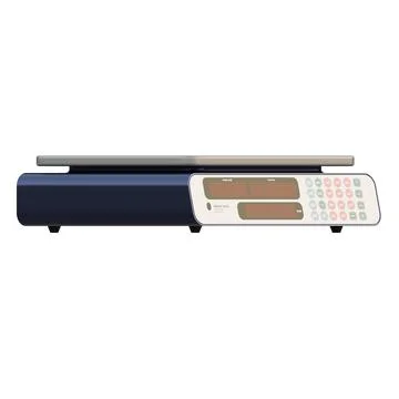 Digital Scale Side View 3D Render Illustration. Stock Illustration