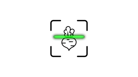 Digital scanning of beet root icon animation with green laser line effect f.. Stock Footage 346498251