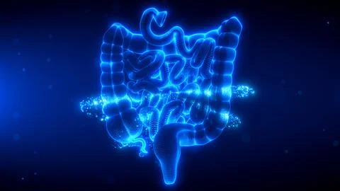 Digital Scanning Effect of Human Large and Small Intestine in Blue Glow Stock Illustration