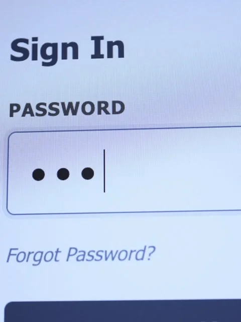 A digital screen showing password being entered into an input field. Stock Footage 336801510