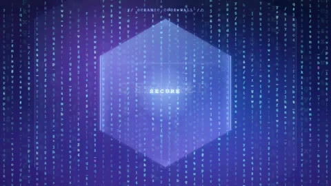 Digital Security Concept with Glowing Hexagon Shield and Falling Binary Code on Stock-Footage 343166213