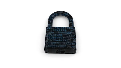 Digital security. Protecting your information. Personal data under lock and key. Stock Footage 113861606