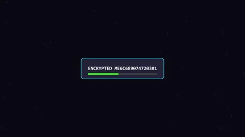Digital Security Shield Cyber Data Protection Concept Stock Footage 347012433