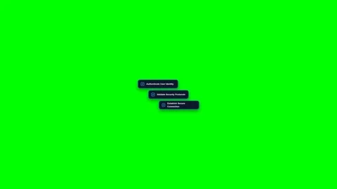 Digital Security Verification Workflow Process Animation Stock Footage 347034041