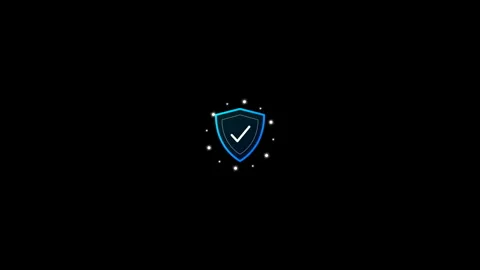Digital Shield Icon with Checkmark Security Technology Protection Privacy Video stock 342751541