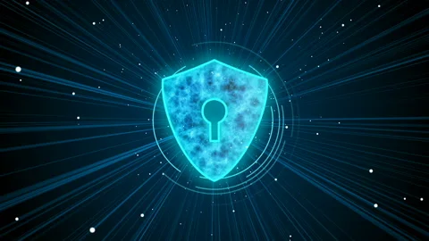 Digital shield protecting user data against malware and spyware harmful files Stock Footage 113504441