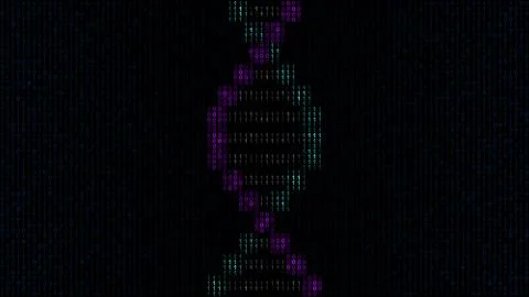 Digital simple DNA helix model made of ones and zeros on computer screen 스톡 일러스트