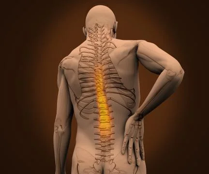 Digital skeleton having highlighted pain on his back against a dark backgroun Stock Illustration