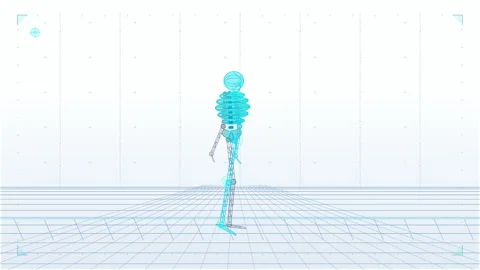 Digital skeleton walking animation loop wireframe skeleton Stock Footage 346737512