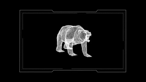 Digital Sketch Collection of Bear Silhouettes in Monochrome Art Style 库存影片 343217222
