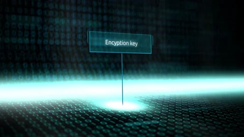 Digital Software information Technology Term - Encryption Key Stock Footage 173765109