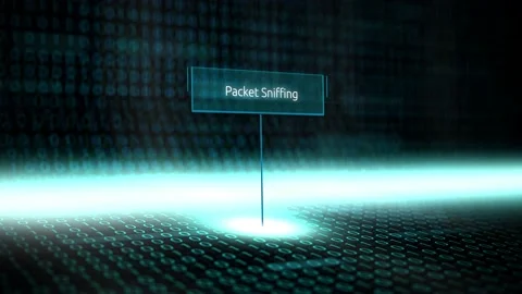 Digital Software information Technology Term - Packet Sniffing Stock Footage 173765519