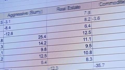 A digital spreadsheet accounting for profits and cash outflows for various Stock Footage 326628419