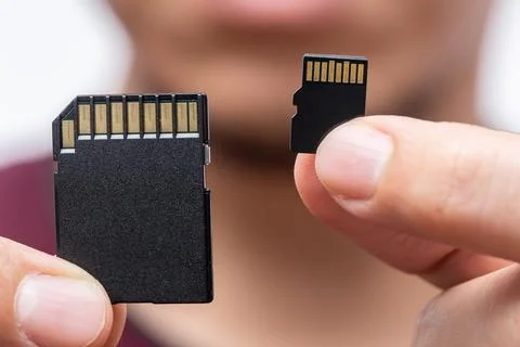 Digital Storage memory size matter concept,SD Card and Micro SD Card compar.. Foto stock