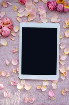 Digital tablet, blank screen with small petals on pink knitted background. Stock Photos