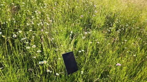 Digital Tablet Falling Into a Green Meadow with Wildflowers in Piedmont Italy Stock Footage 336524614