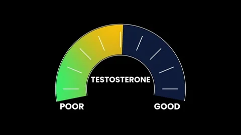 Digital testosterone meter level moving from critical poor to good animation Stock Footage 326055096