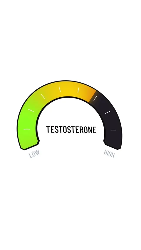 Digital testosterone meter presentation animation, digital gauge fluctuating  Stock Footage 316827406