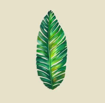 Digital textile Print Manually illustrated for textile Branding Stock Illustration