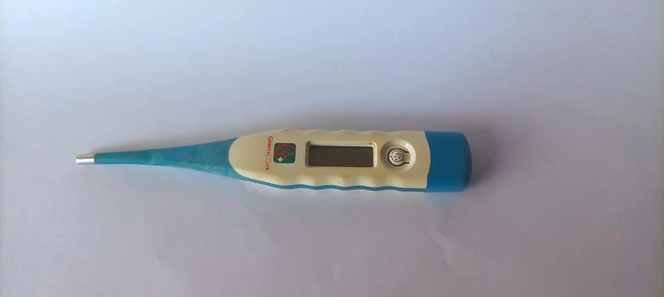 Digital thermometer 스톡 사진