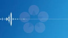 Digital Transition1Sound Effect