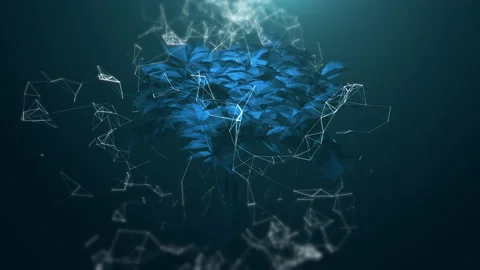 Digital tree, concept of AI, data network connection, neural networks Stock Footage 135531003