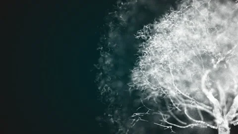 Digital tree, concept of nature and technology, AI, virtual reality Stock Footage 221087115