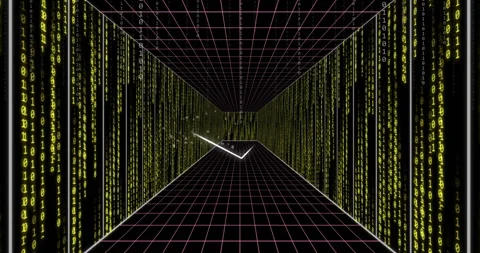 Digital tunnel with green binary code and grid lines, animation of data flow Stock Footage 306817353