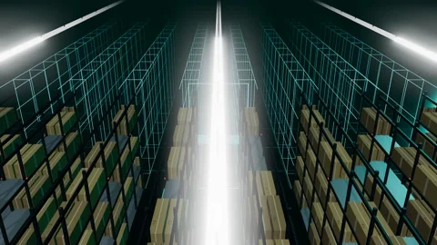 Digital Twin Wireframe Replacing A Wide Warehouse Rack Field Above The Rack Tops Stock Footage 344640625