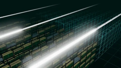 Digital Twin Wireframe Replacing A Wide Warehouse Rack Field From A High Stock Footage 344640836