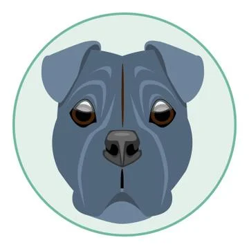 Digital vector boxer dog face Stock Illustration