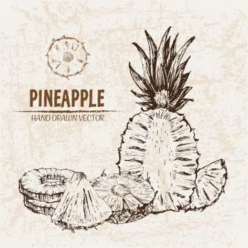 Digital vector detailed line art pineapple Stock Illustration