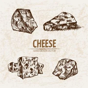 Digital vector detailed line art sliced cheese 스톡 일러스트