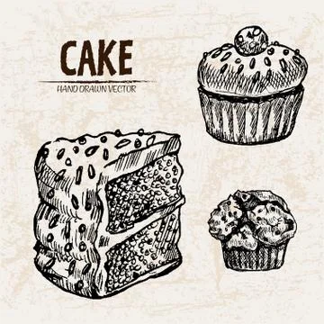 Digital vector detailed line art sliced cake Illustrazione stock