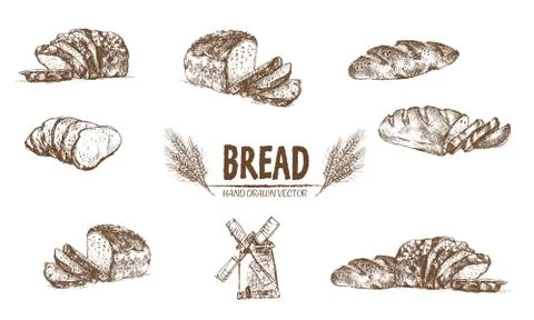 Digital vector detailed line art baked bread Stock Illustration