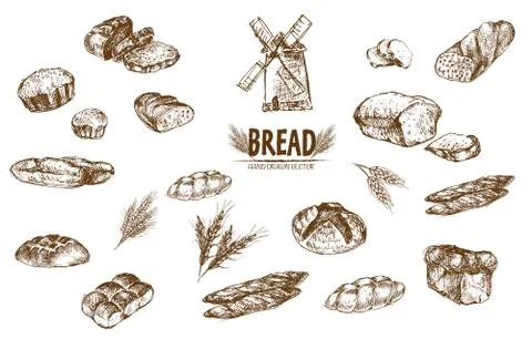 Digital vector detailed line art baked bread Stock Illustration