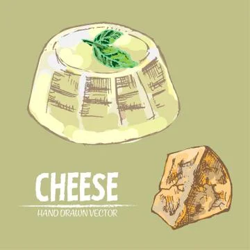 Digital vector detailed line art round sliced Stock Illustration