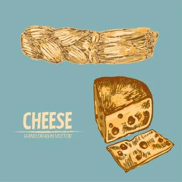 Digital vector detailed line art cheese braid Illustrazione stock