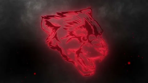 Digital video neon head panther Stock Footage 234575647