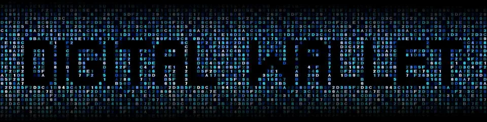 Digital wallet text on hex code illustration Stock Illustration