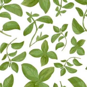 Digital watercolor seamless herbal pattern on white background. Fresh green Stock Illustration