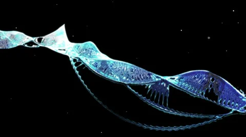 Digital Wave Stock Footage 25961652