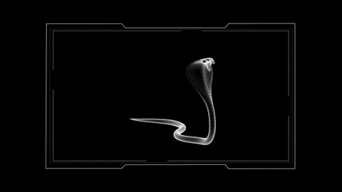 Digital White Cobra on Black Background in Futuristic Style 库存影片 343034891
